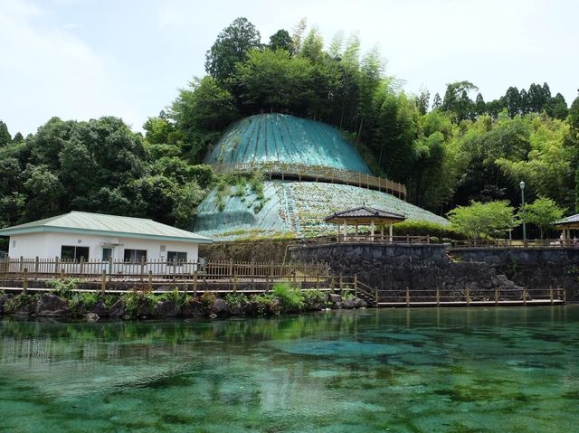 鹿兒島必去打卡仙境｜霧島山麓丸池湧水