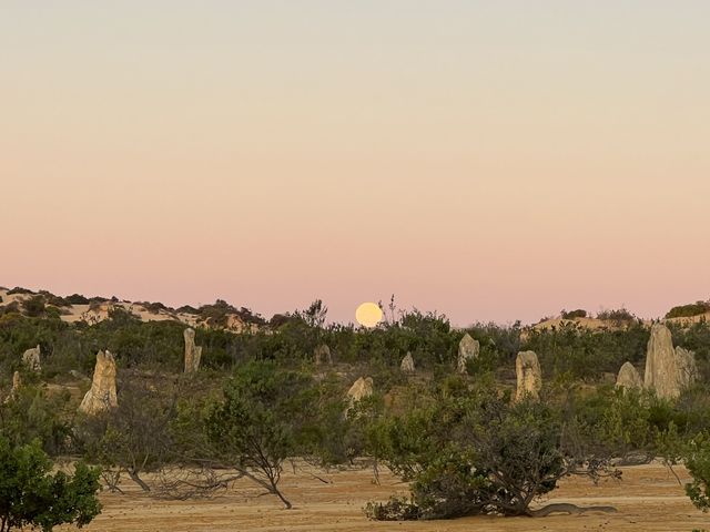 Pinnacles desert sunset ☀️