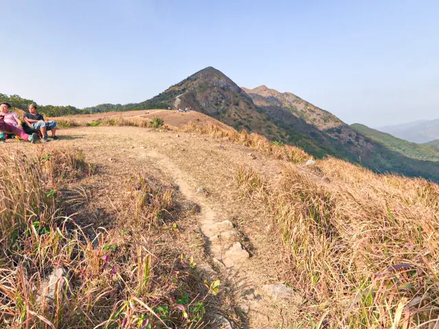 昂坪大草原· 馬鞍山-新手行山路徑