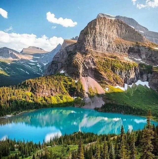 nature 