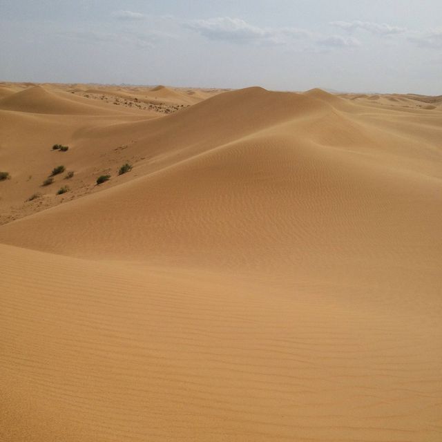 The Tengger Desert 