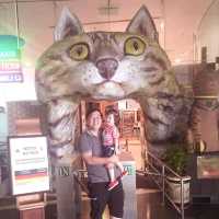 Cat Museum, Petra Jaya, Sarawak