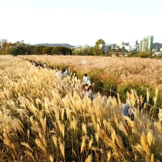 Early autumn at Hanuel Park