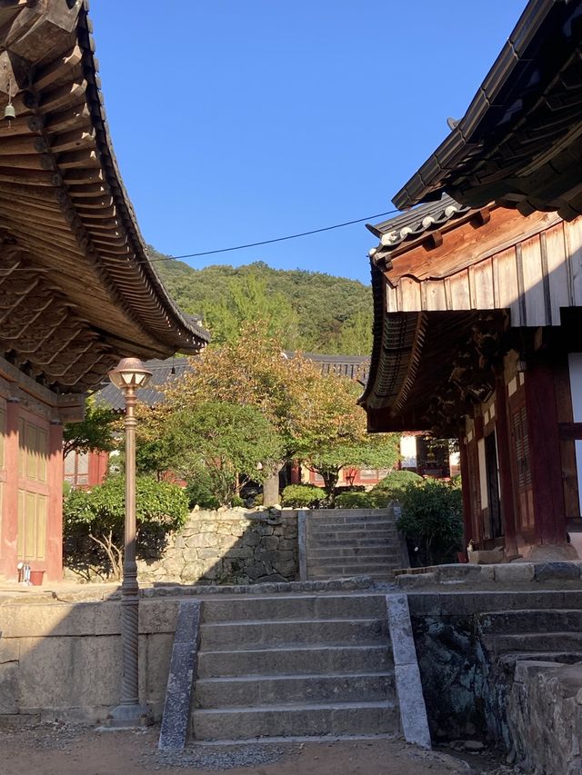 한옥풍경이 아름다운 절
