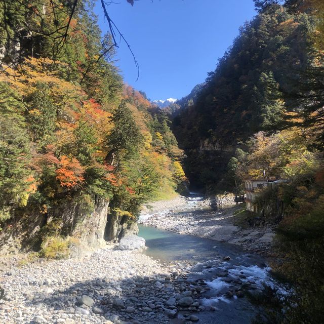 楓葉絕景