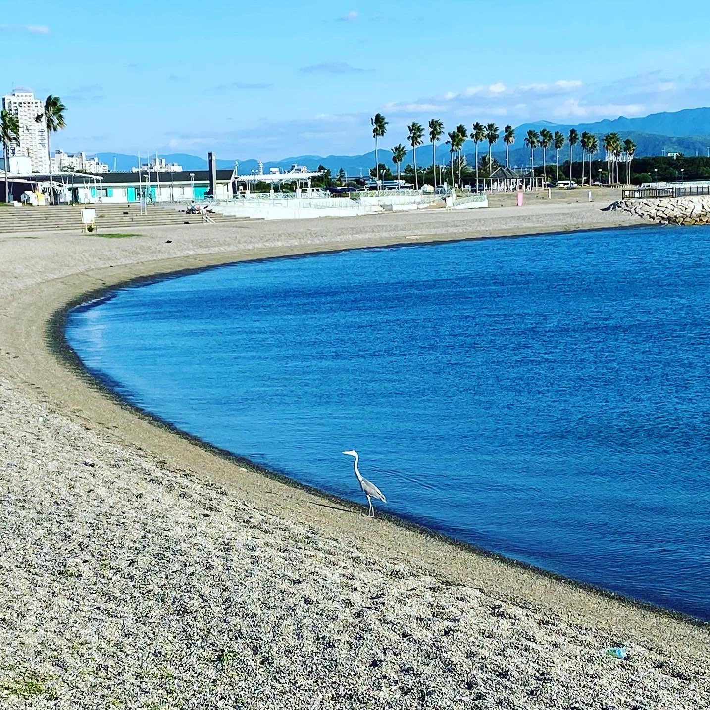 二色浜公園 | Trip.com 貝塚
