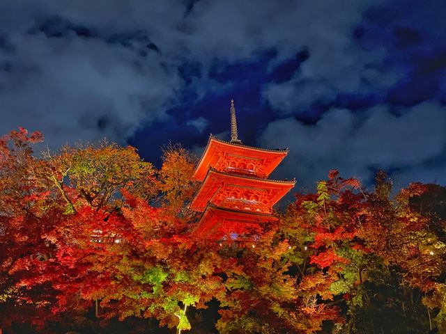 『清水寺』京都の紅葉『夜間特別拝観』