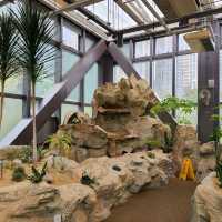 由堆填區改建而成的佐敦谷公園