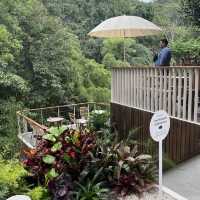 Taryn Tara cafe & stay แม่ออน เชียงใหม่
