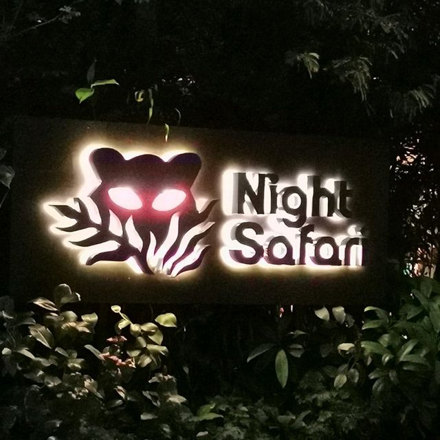 Have you visited zoo at night? 