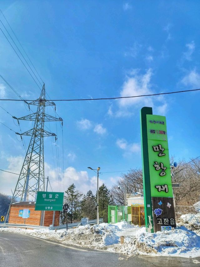 차타고 해발1330m 만항재를 즐기는 눈꽃여행❄️🤍