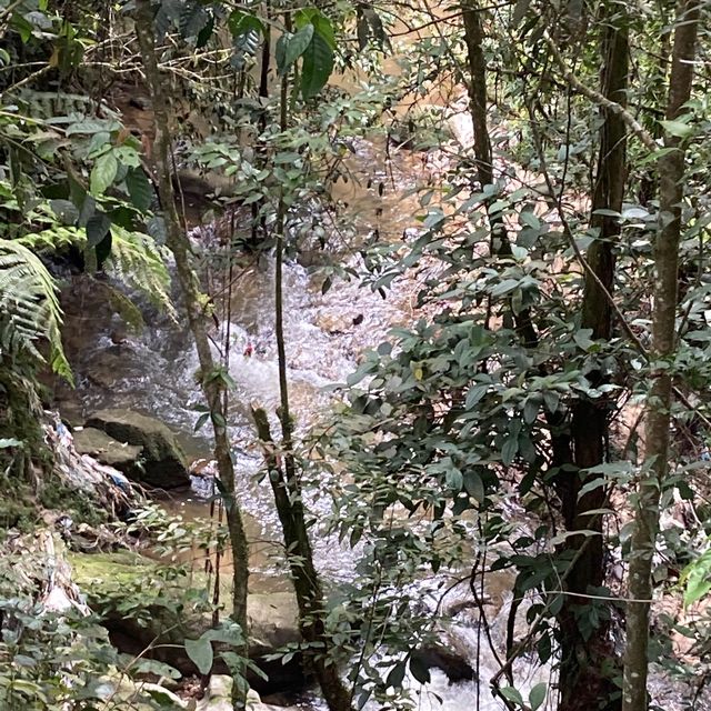 キャメロンハイランドの中心部から気軽に行けるハイキングコース　Taman Eko Rimba Parit Falls H