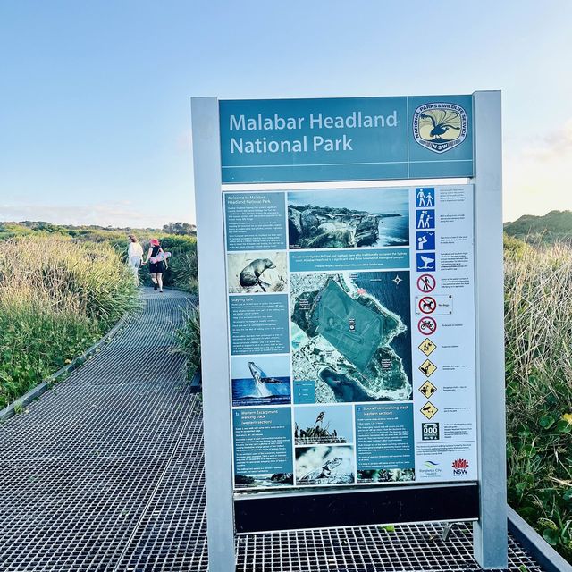 Malabar Headland Walk - a great Sydney coasta