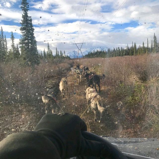 Husky Homestead