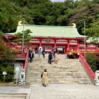 山口県⛩赤×緑×白を基調とした下関随一のパワースポット！【赤間神宮】