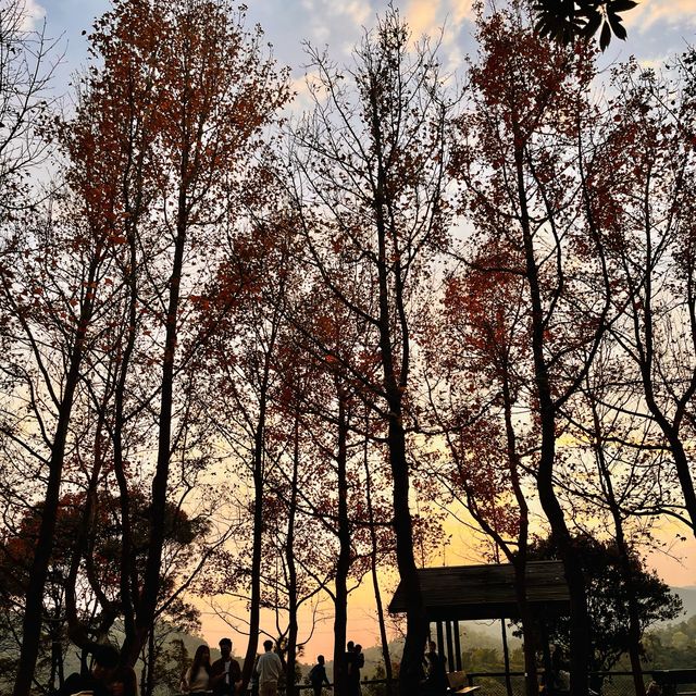 睇住日落紅葉打卡，一次滿足晒兩個願望！