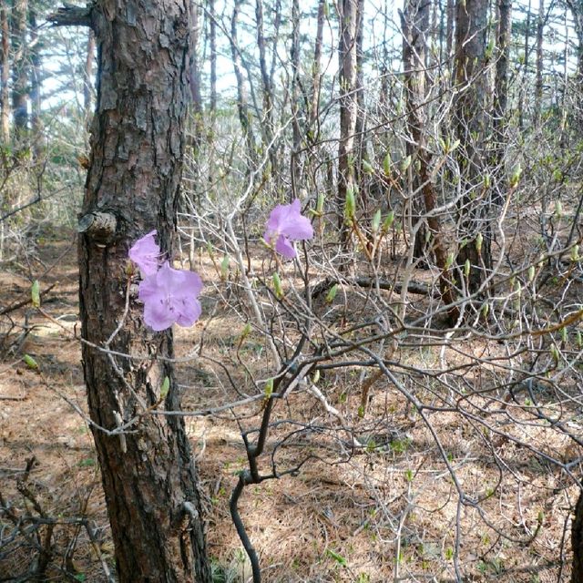 평창의 유명 명산 두타산 등산