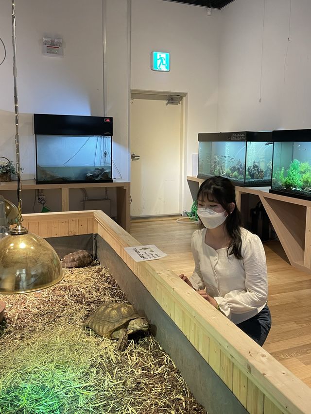 강원도 양구 가볼만한곳 총정리🤩💛