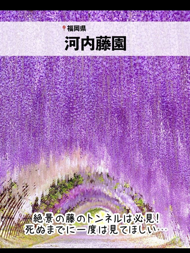 絶景！GWが見頃のお花畑スポット7選