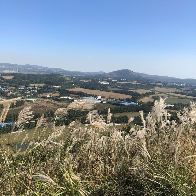 제주 오름 중에 최애 👉🏻금오름