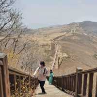 5월엔 철쭉가득 황매산🌸🌺