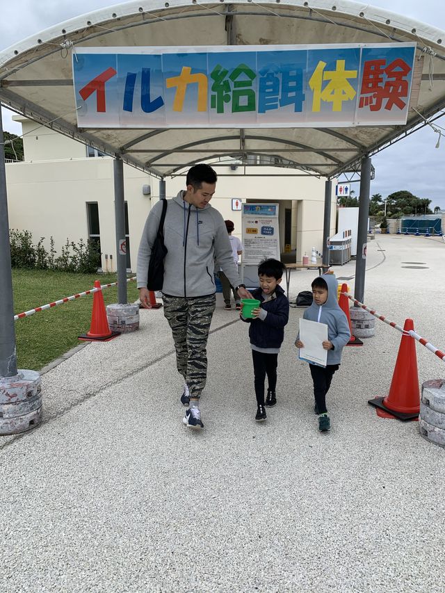 海豚餵食體驗學習 | 沖繩旅行