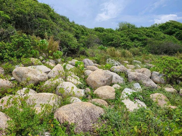 有生之年系列~東平洲🏜️