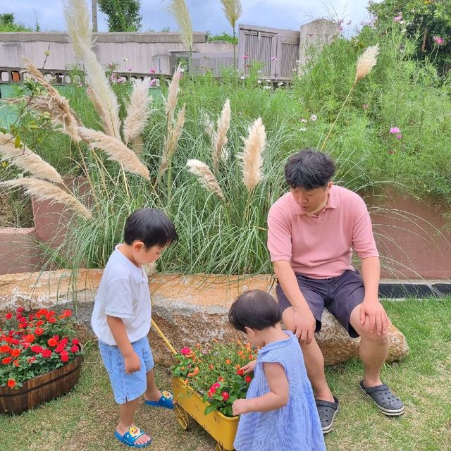 경주 사진찍기 너무 이쁜 '소풍가다'