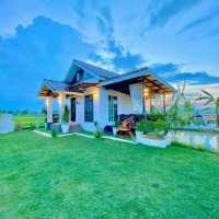 homestay in the middle of padi farm