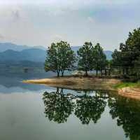 대청호 오백리길 운치있는 산책길🌳