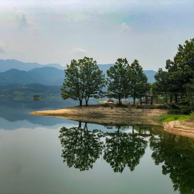 대청호 오백리길 운치있는 산책길🌳