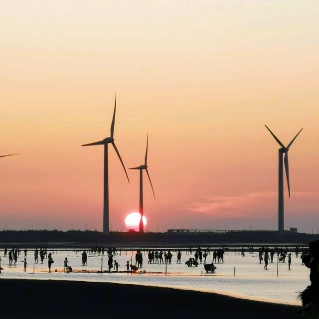 breathtaking Gaomei wetlands