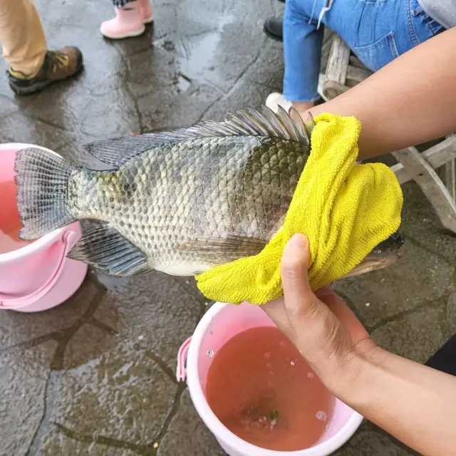 大塭觀光休閒養殖區/輕親魚朶，親手體驗釣魚兼烤魚