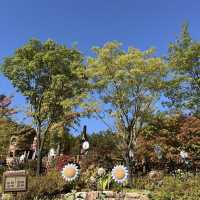 韓国【エバーランド】テーマパークで愉しむ韓国の秋🍁
