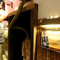 Ghost Museum