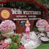 ก๋วยเตี๋ยวชื่อดังย่านไร่ขิง นครปฐม
''น่าล่อในสวน"