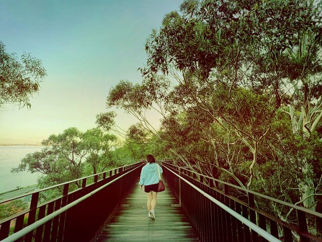 Northbridge! The Walkway! & Miss Maud!💞