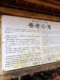 養老の滝