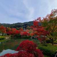 紅葉見に行こ～うよ～【禅林寺 永観堂】✨