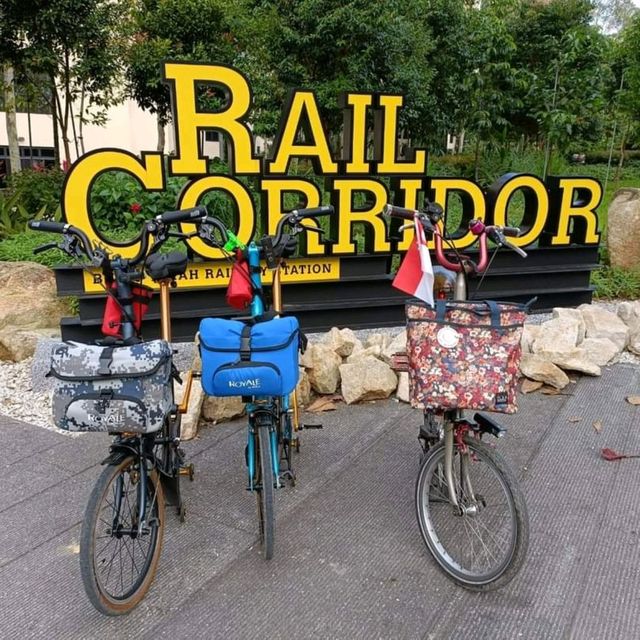 火車迷必到Rail Corridor@武吉知馬自然保護區