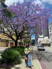 Kingspark, Perth,