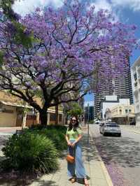 Kingspark, Perth, 