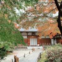 京都紅葉2022  宝厳院の素晴らしい紅葉