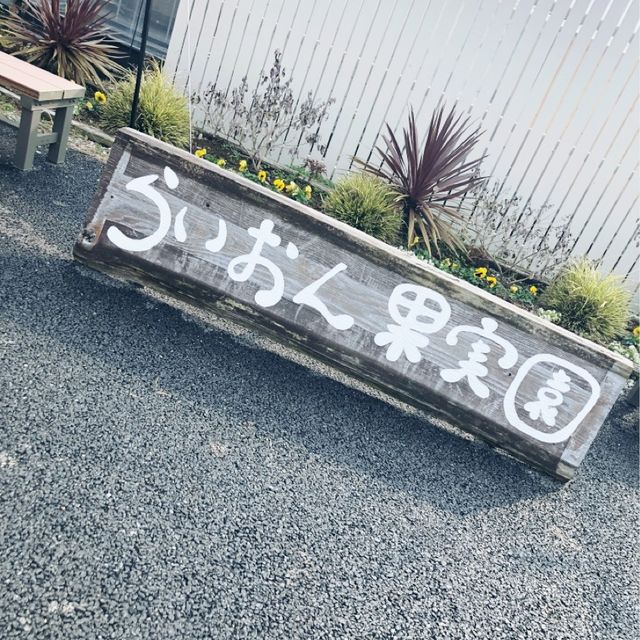 【いちご狩り】いろんな種類のいちご食べ放題！🍓🍓