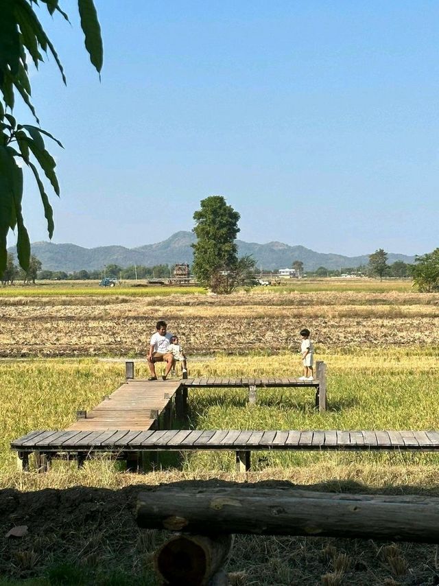 zsip cafe บึงสามพัน เพชรบูรณ์