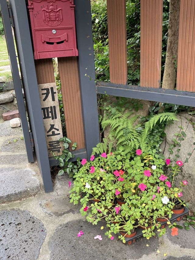 부산 디저트카페 추천