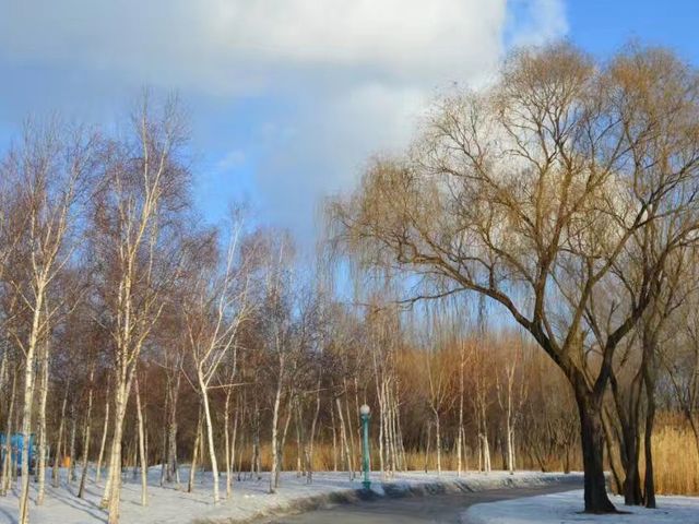 Harbin - Winter Paradise 