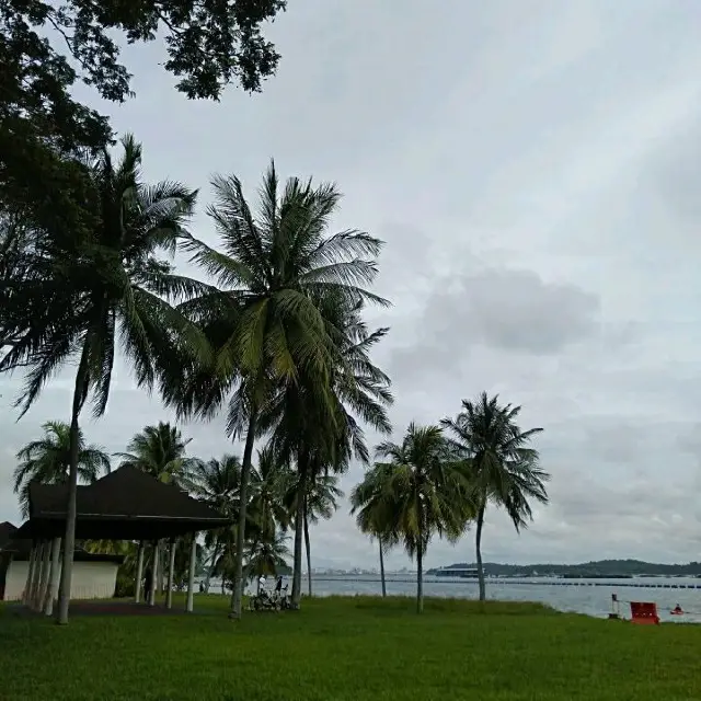 Beautiful Changi Beach Park