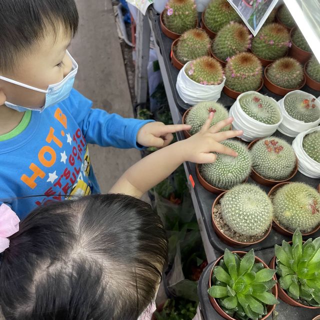 漫遊生活，遊玩花墟