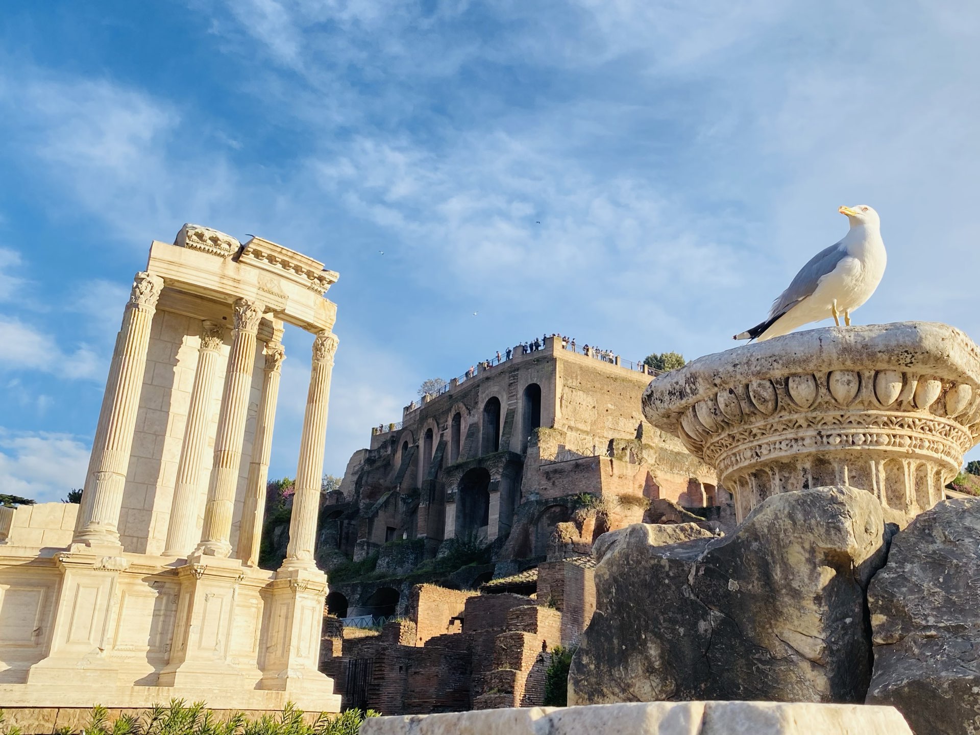 イタリア ローマのフォロ ロマーノ Trip Com Rome Travelogues